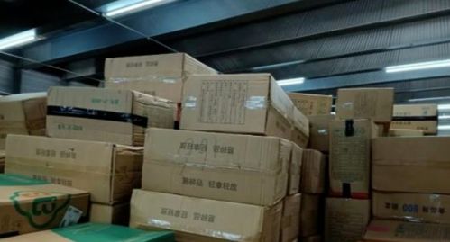 运输750箱一次性不可降解塑料制品入岛,这家公司被立案调查