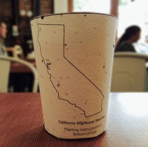 可食用塑料杯 环保与科技的革命性突破